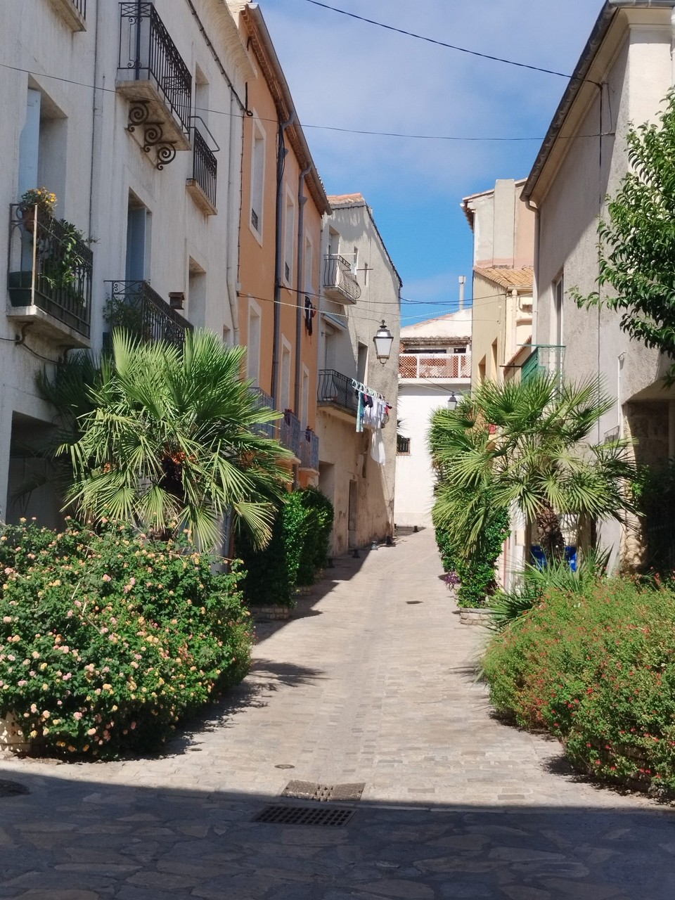 Frankreich - Mèze - Wieder an Land in Mèze😍