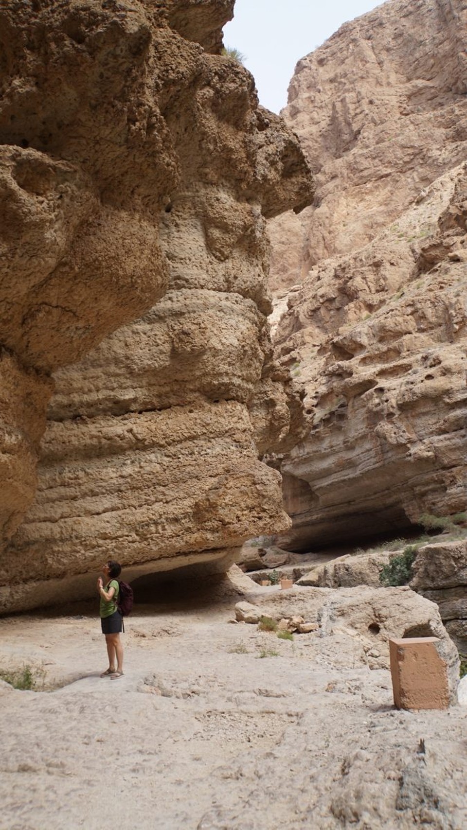 Oman -  - 