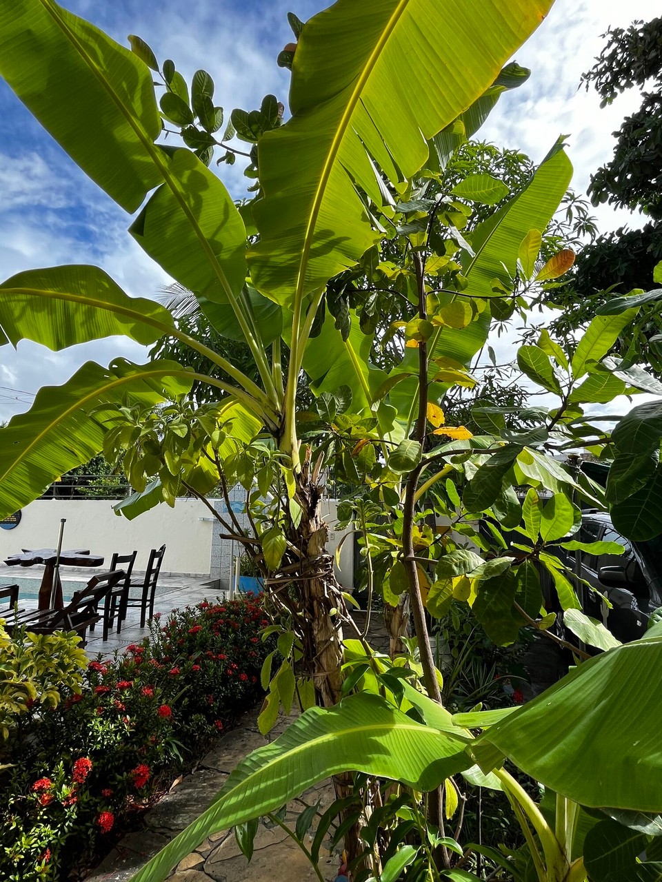 Brasilien - Salvador - 