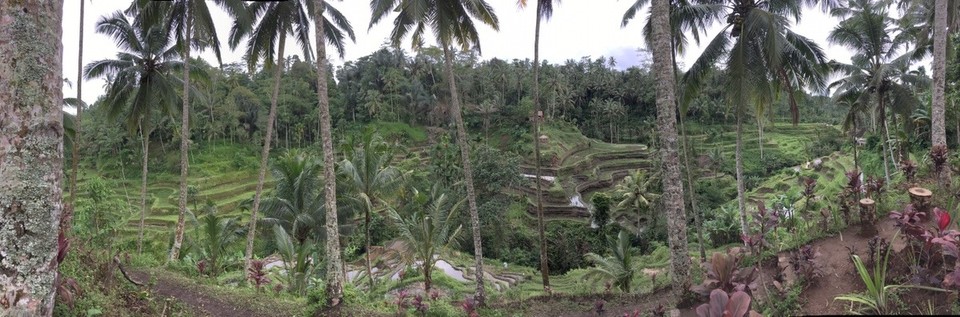 Indonesien - Tabanan - 