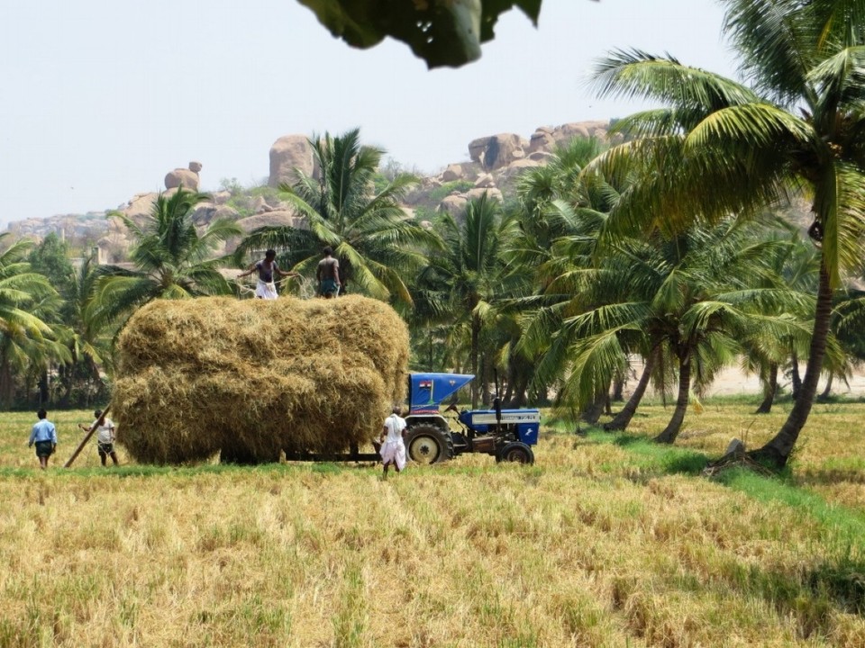Indien - Hampi - 