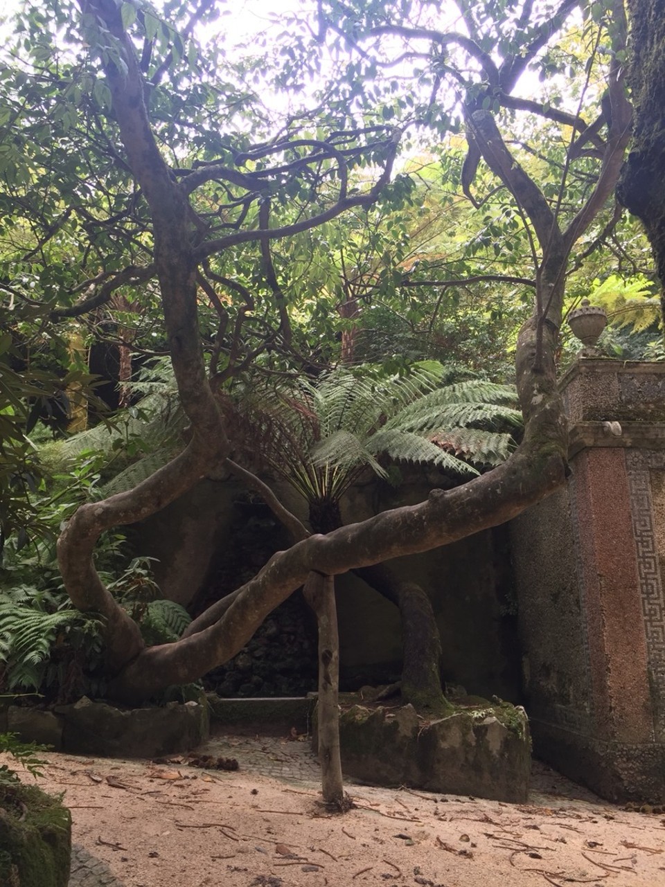 Portugal - Sintra - 