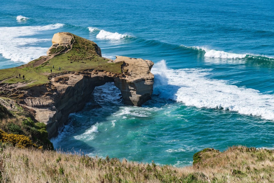 Neuseeland - Dunedin - 