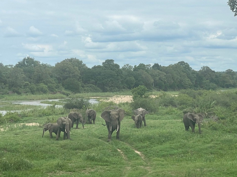 Südafrika - Sabie Park - 