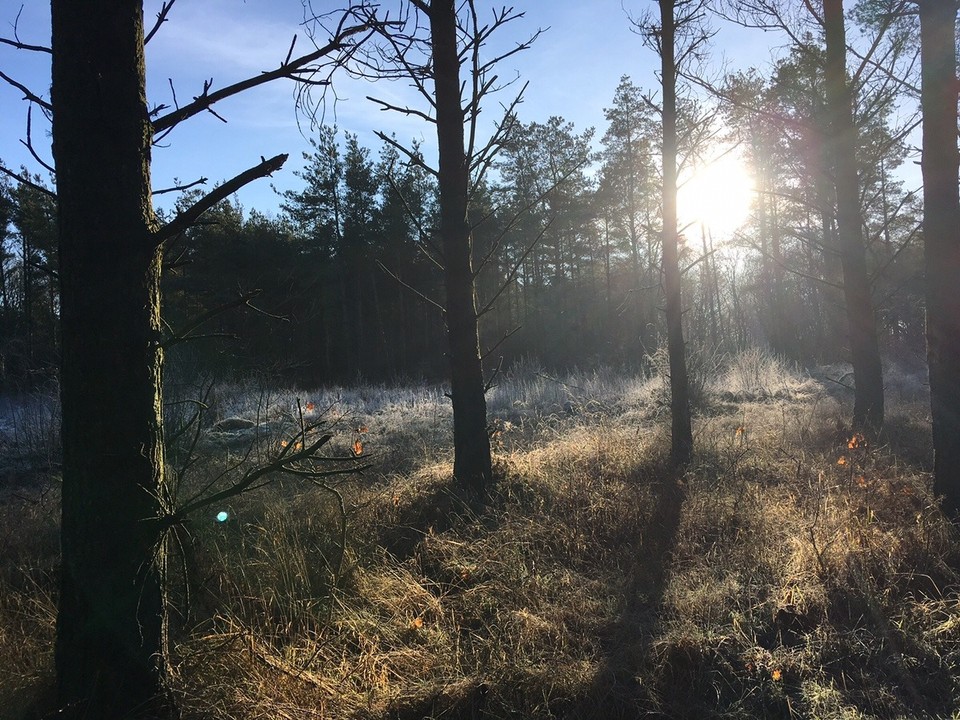 Danmark - Gråsten - 