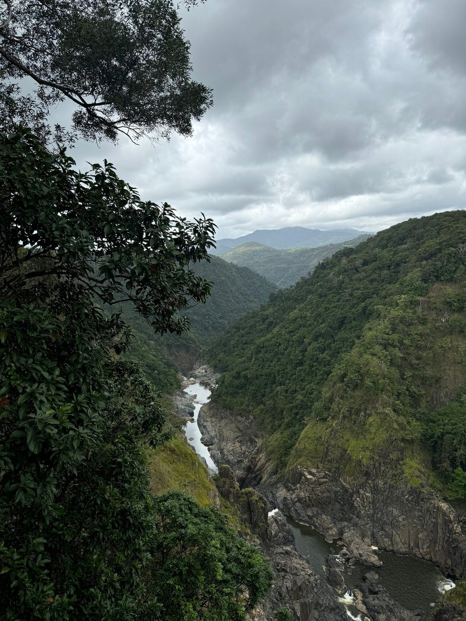 Australien - Kuranda - ... und in dia ander Richtig, taluswärts.
