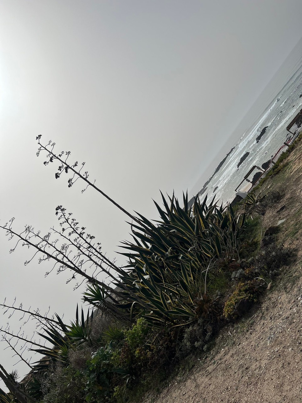 Portugal - Longueira-Almograve - 