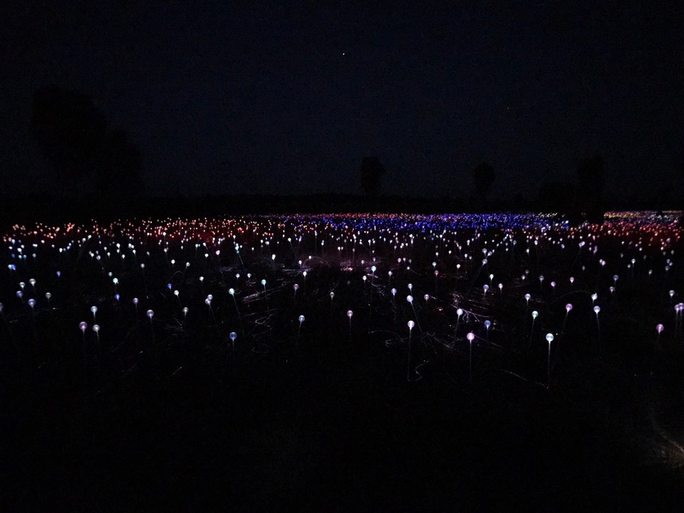 Australia - Yulara - Amazing field of lights .. literally 