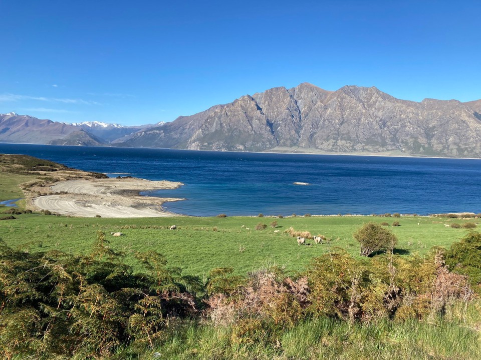 Neuseeland - Wanaka - 