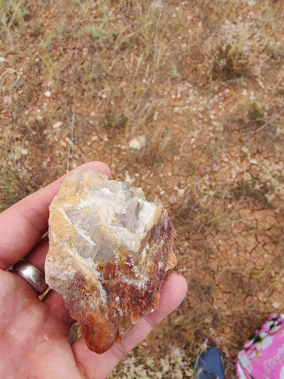 Kasachstan - Абай - Schöne Quarz Steine am Ufer überall