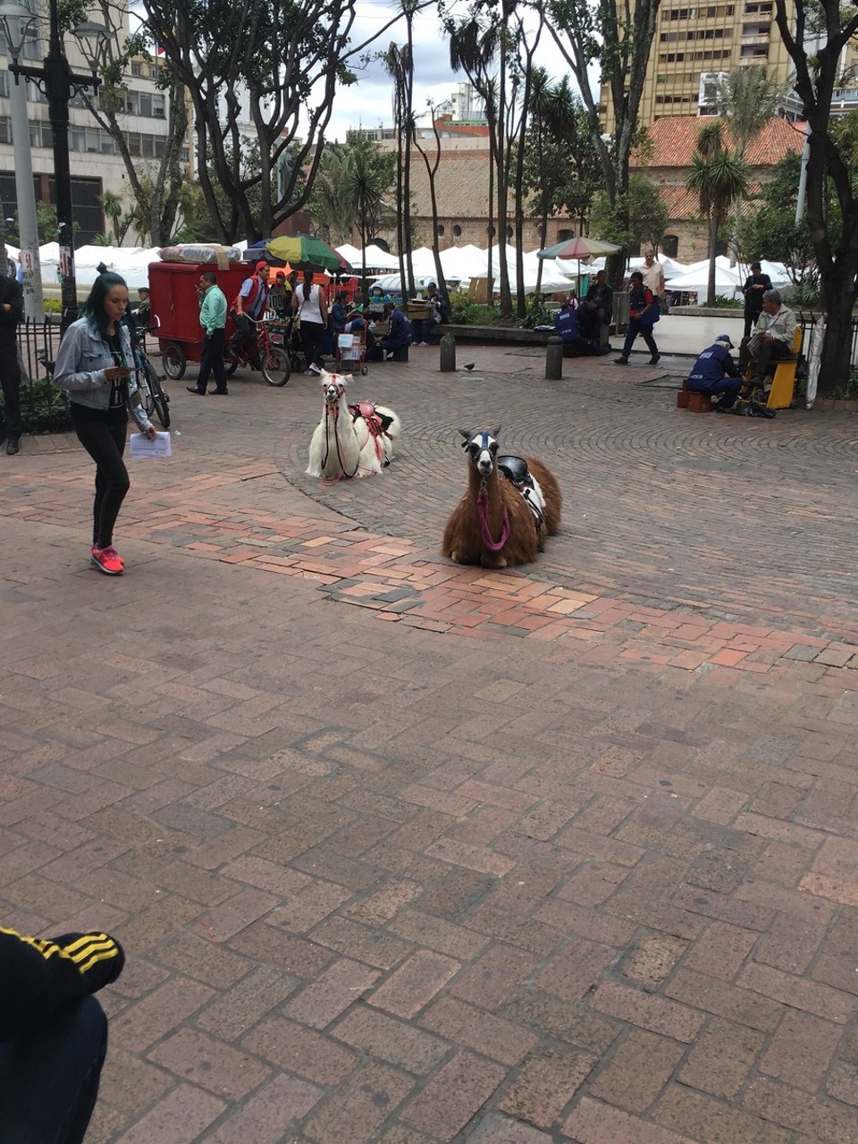  - Bogotá, Colombia - 