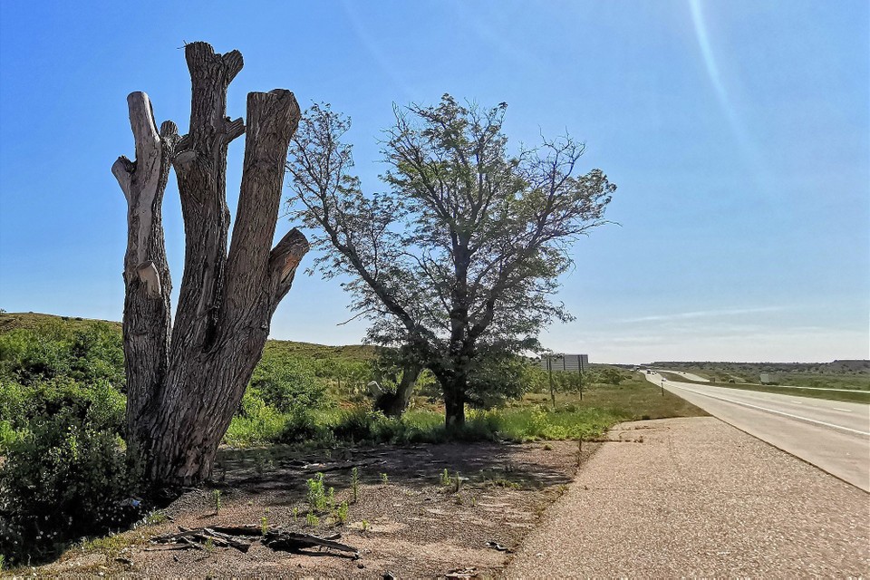 USA - Tucumcari - 