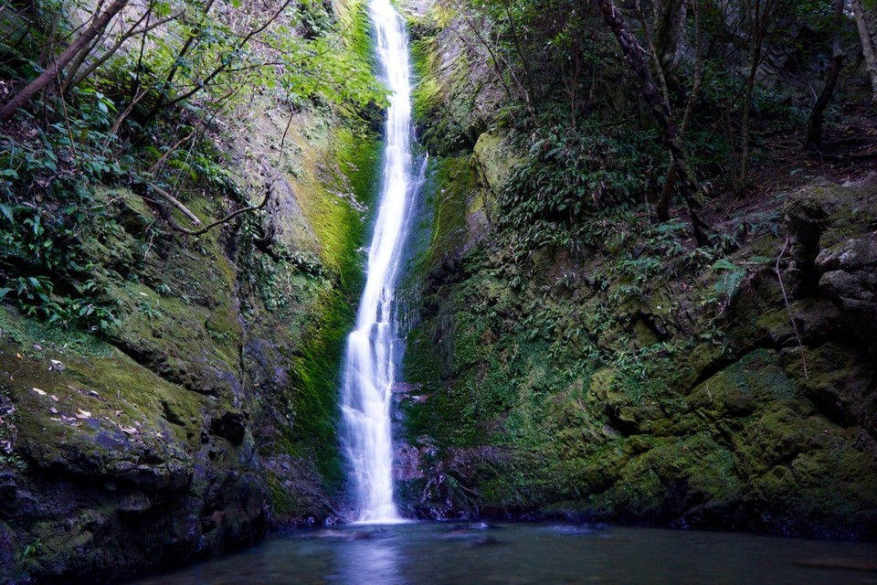 Neuseeland - Nelson - 