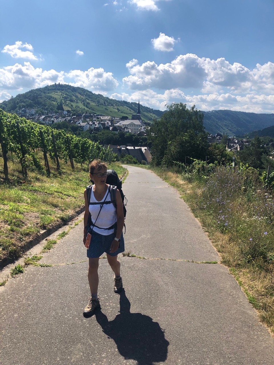 Deutschland - Reil - Mal wieder im Weinberg
