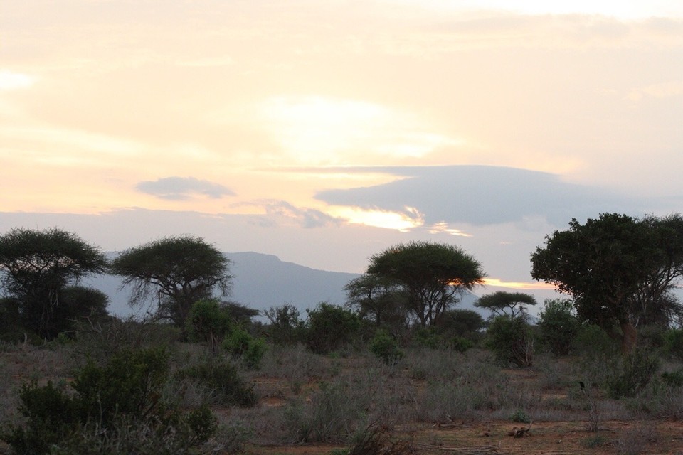 Kenia - Kajiado - 