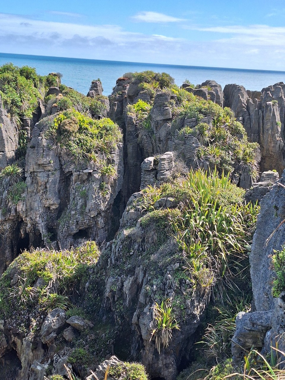 Neuseeland - Pancake Rocks - 