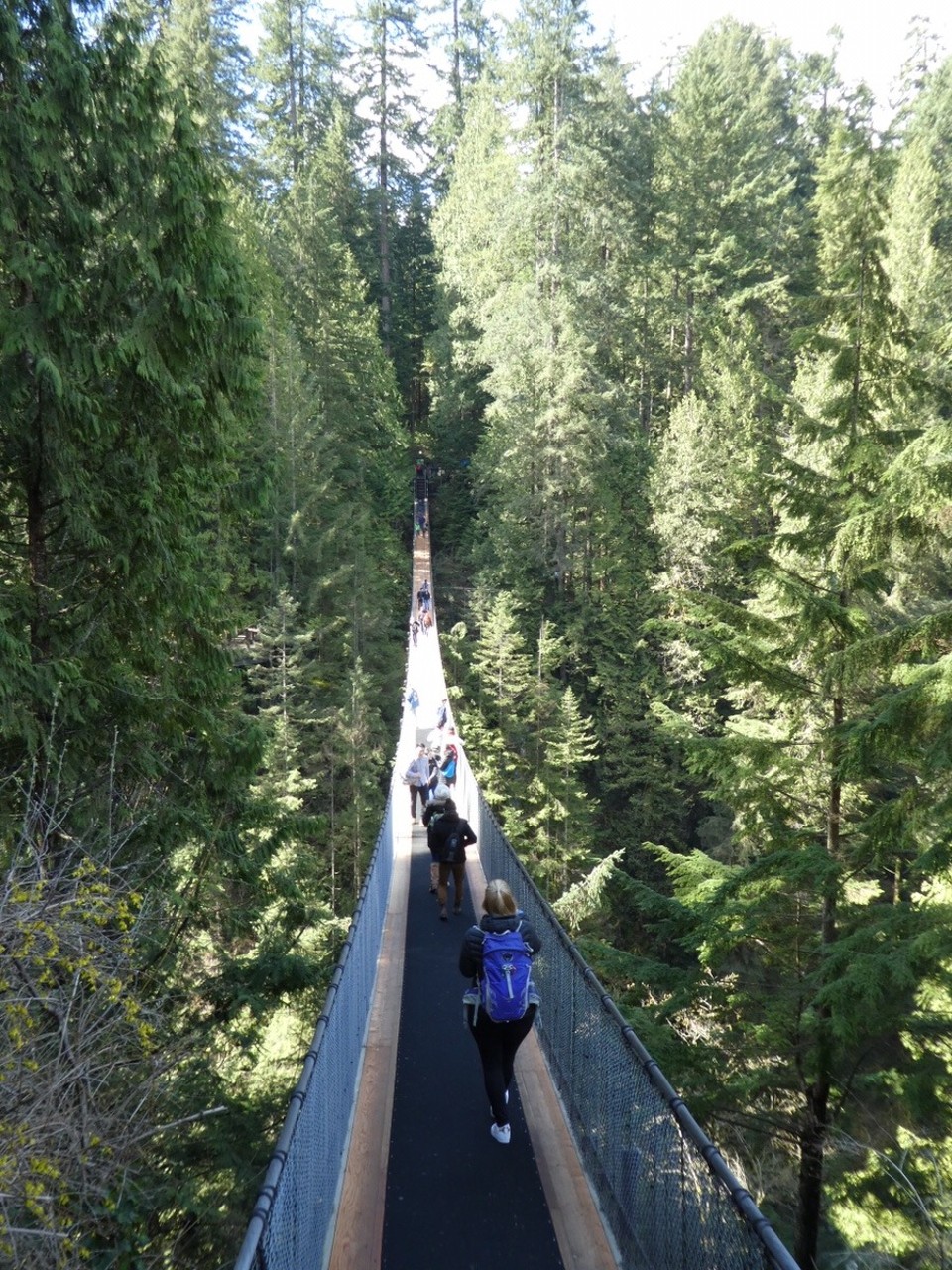 Canada - Vancouver - Crossing the suspension bridge