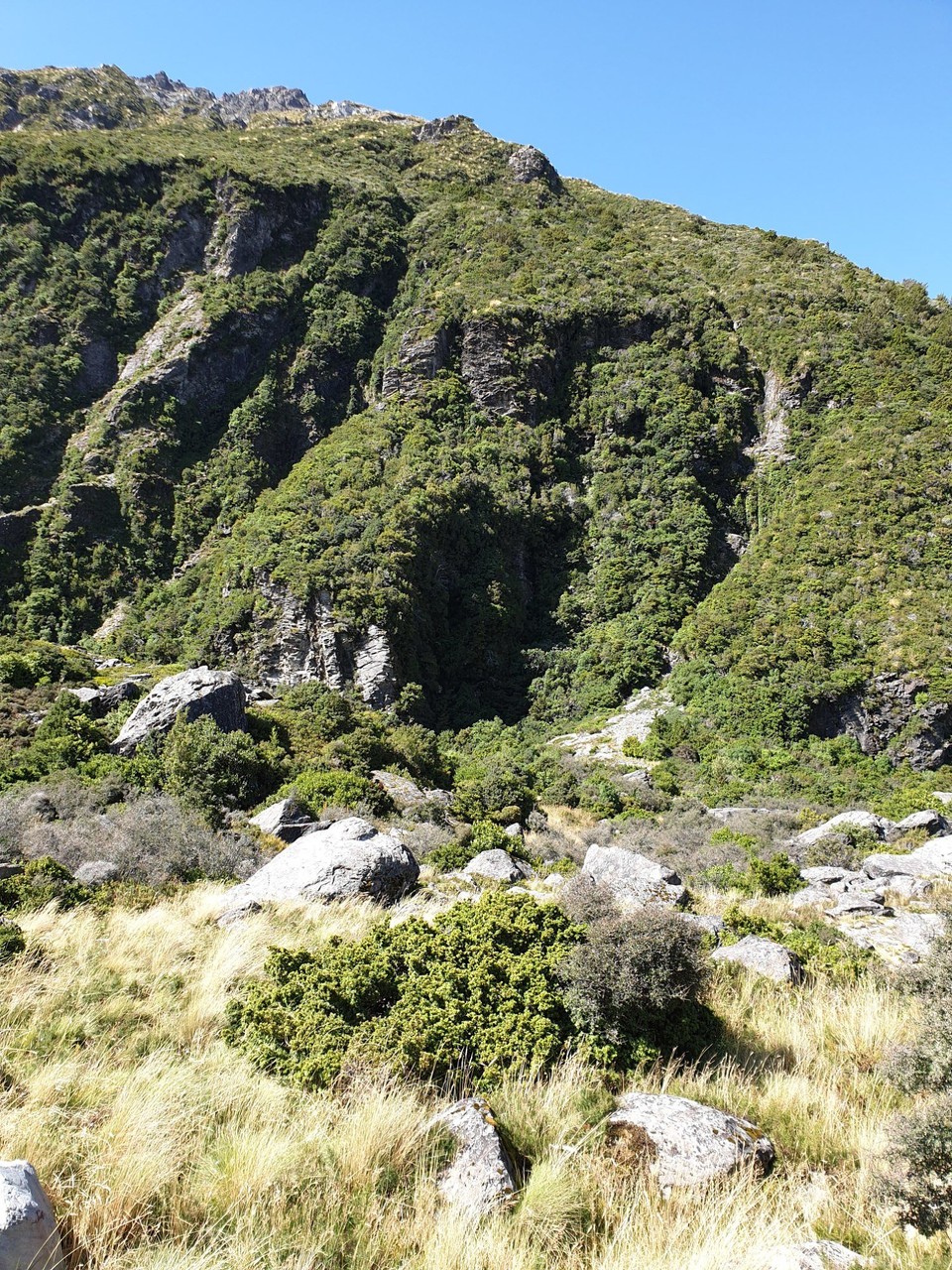 Neuseeland - Aoraki - 