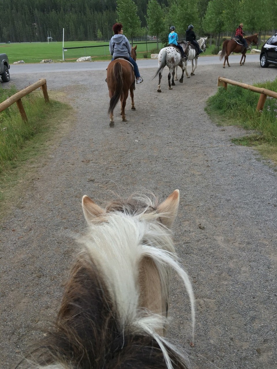 Kanada - Banff - Und wie könnte man diese Gegend besser erkunden, als auf dem Rücken eines Pferdes 