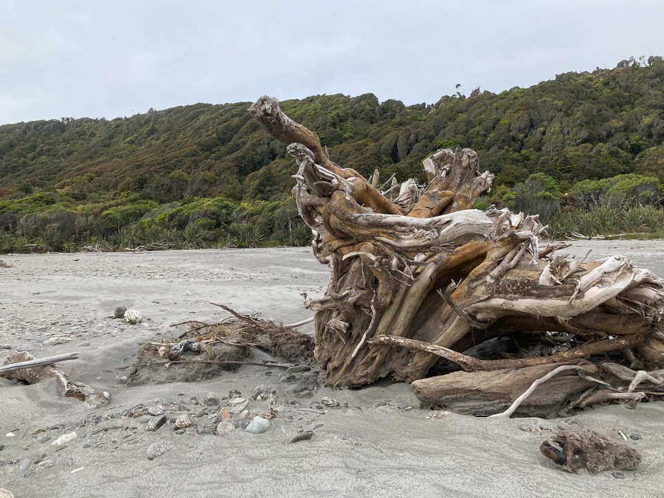 Neuseeland - Harihari - 