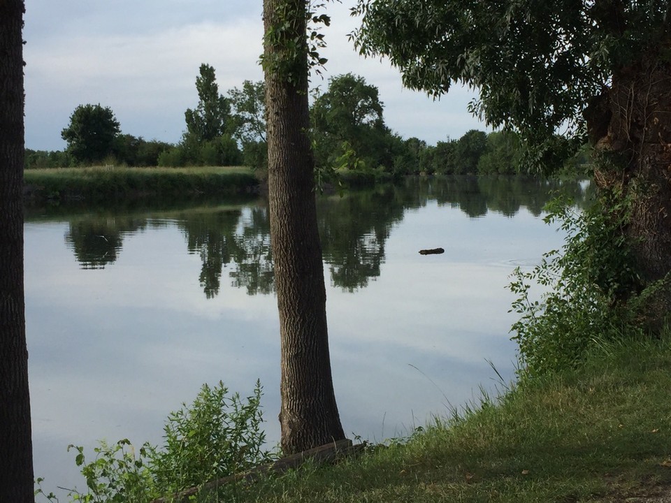 Frankreich - Savonnières - 