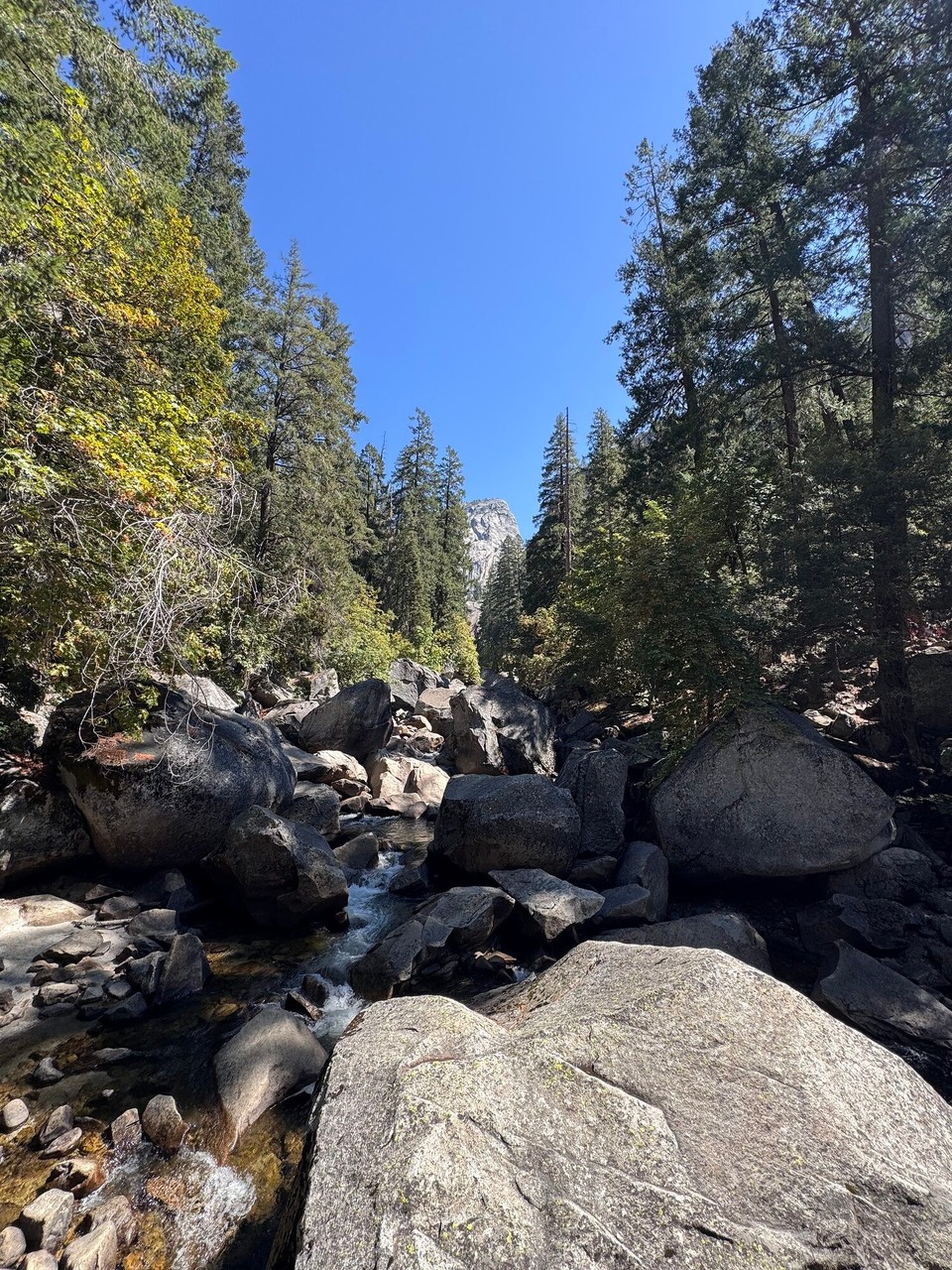 Vereinigte Staaten - Yosemite National Park - D‘Nacht esch gar ned so chalt gsi, bis uf chli chalti Füess hemmer warm gha.☺️ Au gschlofe hemmer sehr guet bis am 9i.☺️🙈
