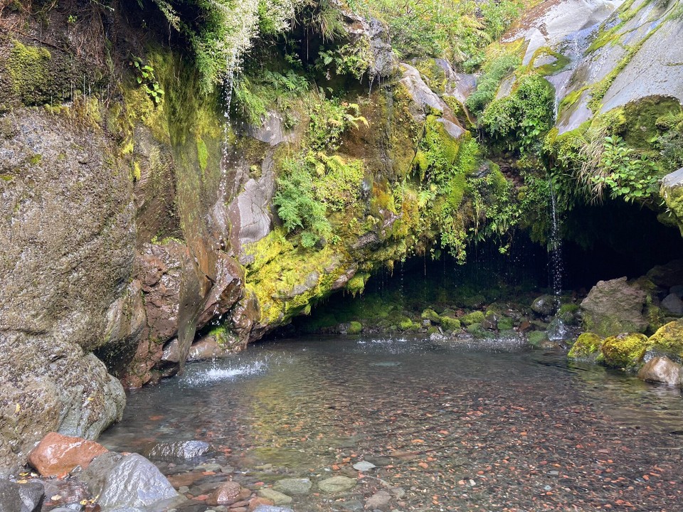 Neuseeland - Eltham - Wilkies Pools