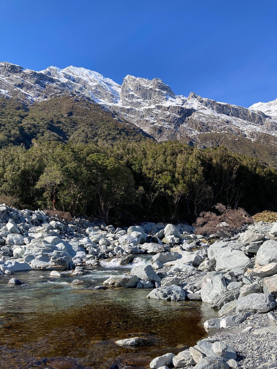 Neuseeland - Whataroa - Immer wieder gilt es Wasserläufe zu über- bzw. durchqueren - Wege zu finden ist nicht immer einfach 🙈