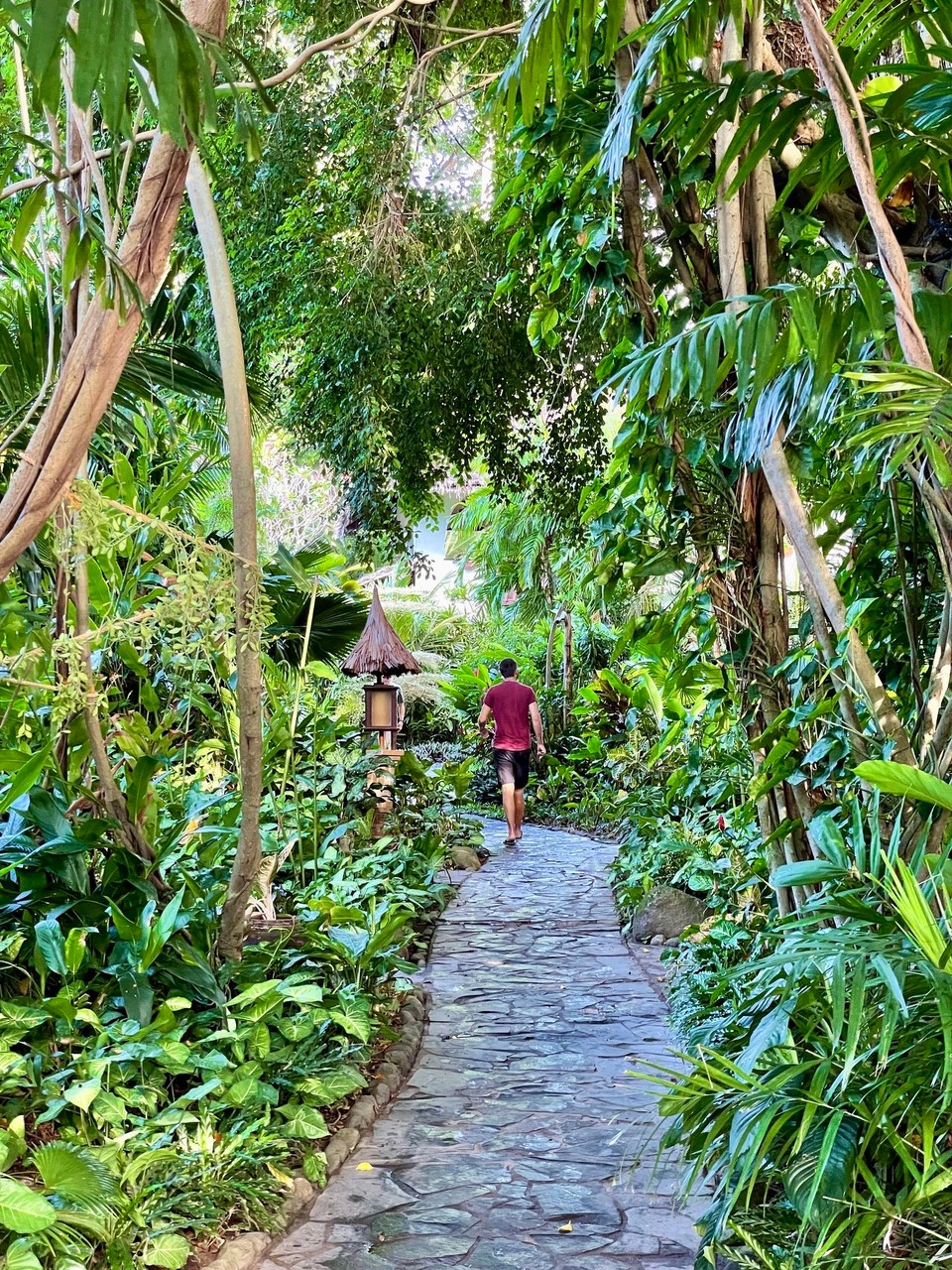 Philippinen - Dauin - 