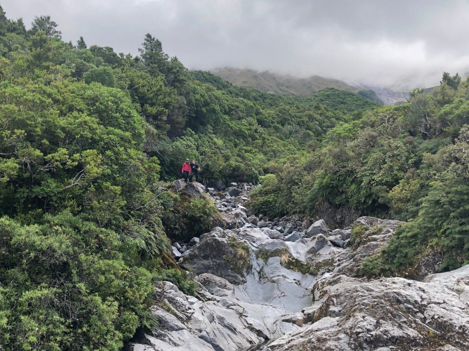 Neuseeland - Taranaki - 