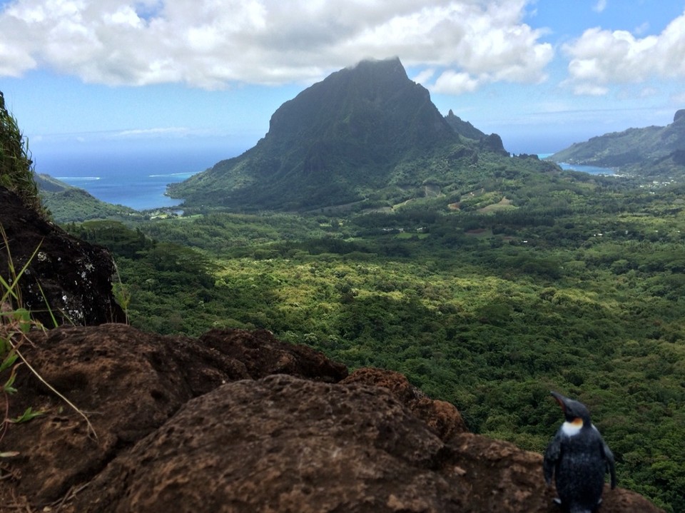 Mo'orea - Französisch-Polynesien - In der rechten Bucht kam Cook an