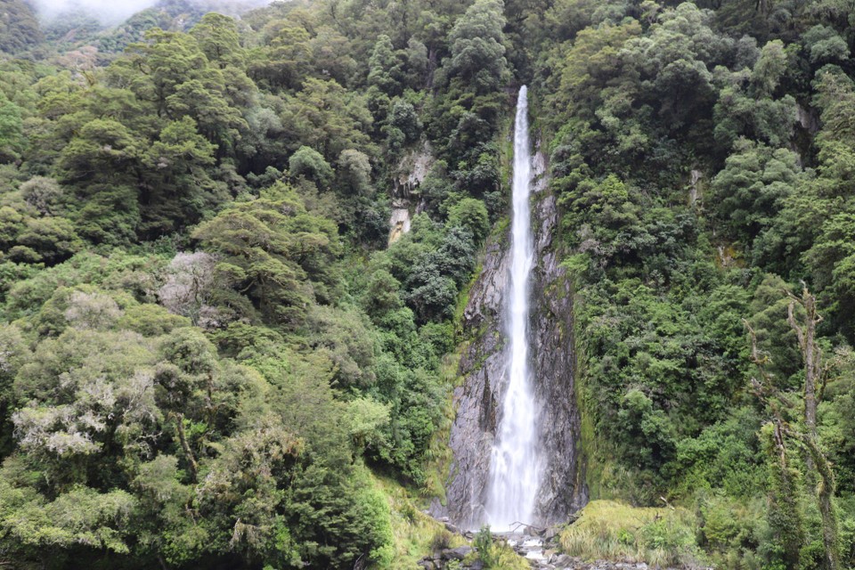 Neuseeland - Fox-Gletscher - Bei den Thunder Creek Falls