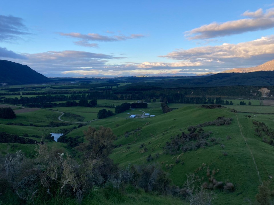 Neuseeland - Otautau - Von hier oben kann ich gut auf die Farm schauen 🤓