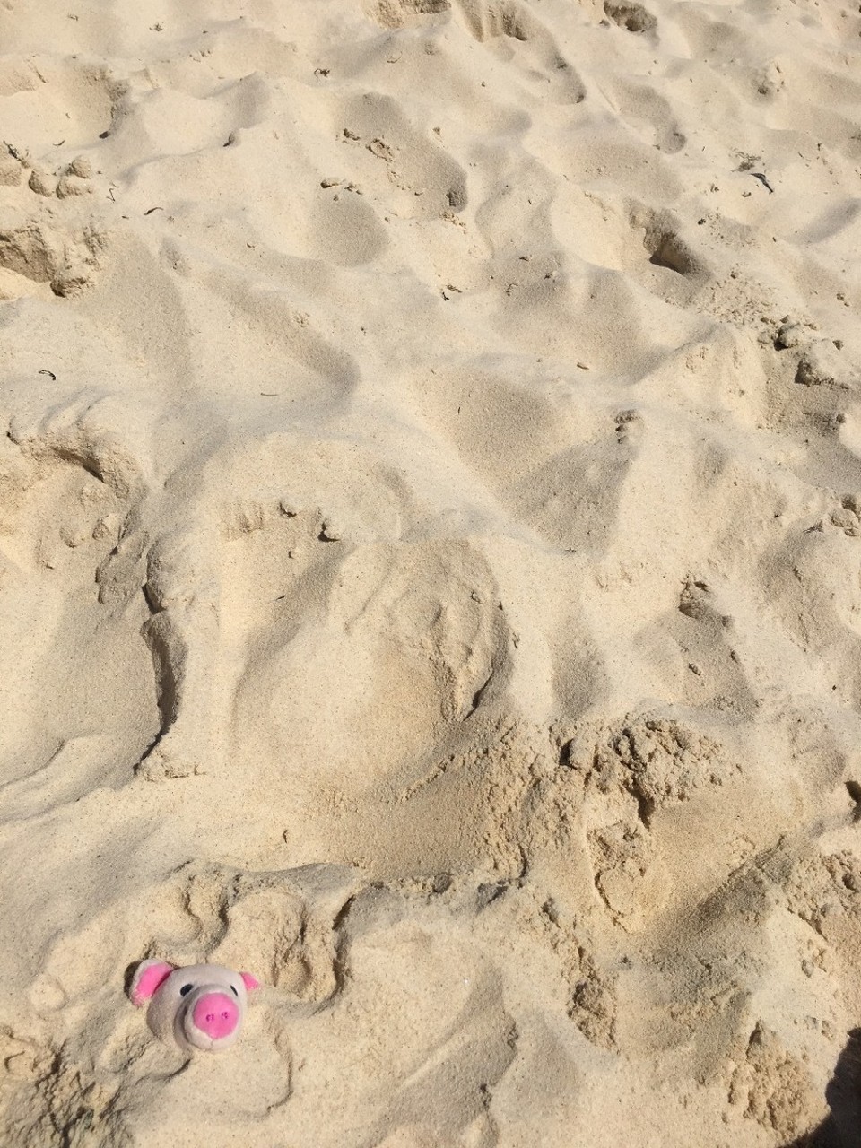 Australien - Bondi Beach - Wo bin ich?