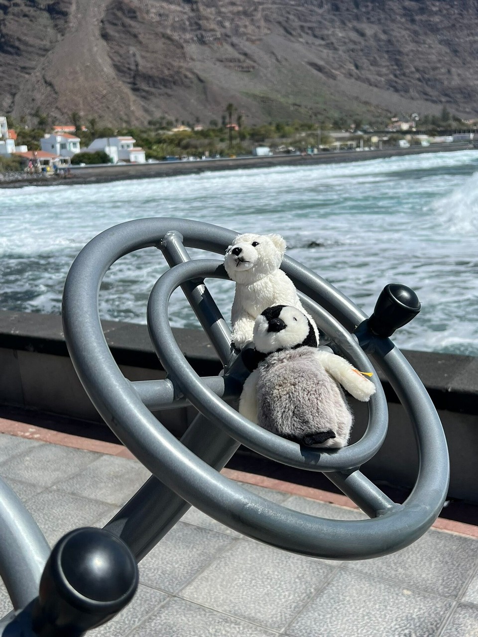 Spanien - San Sebastián de La Gomera - Natürlich auch mit unterwegs