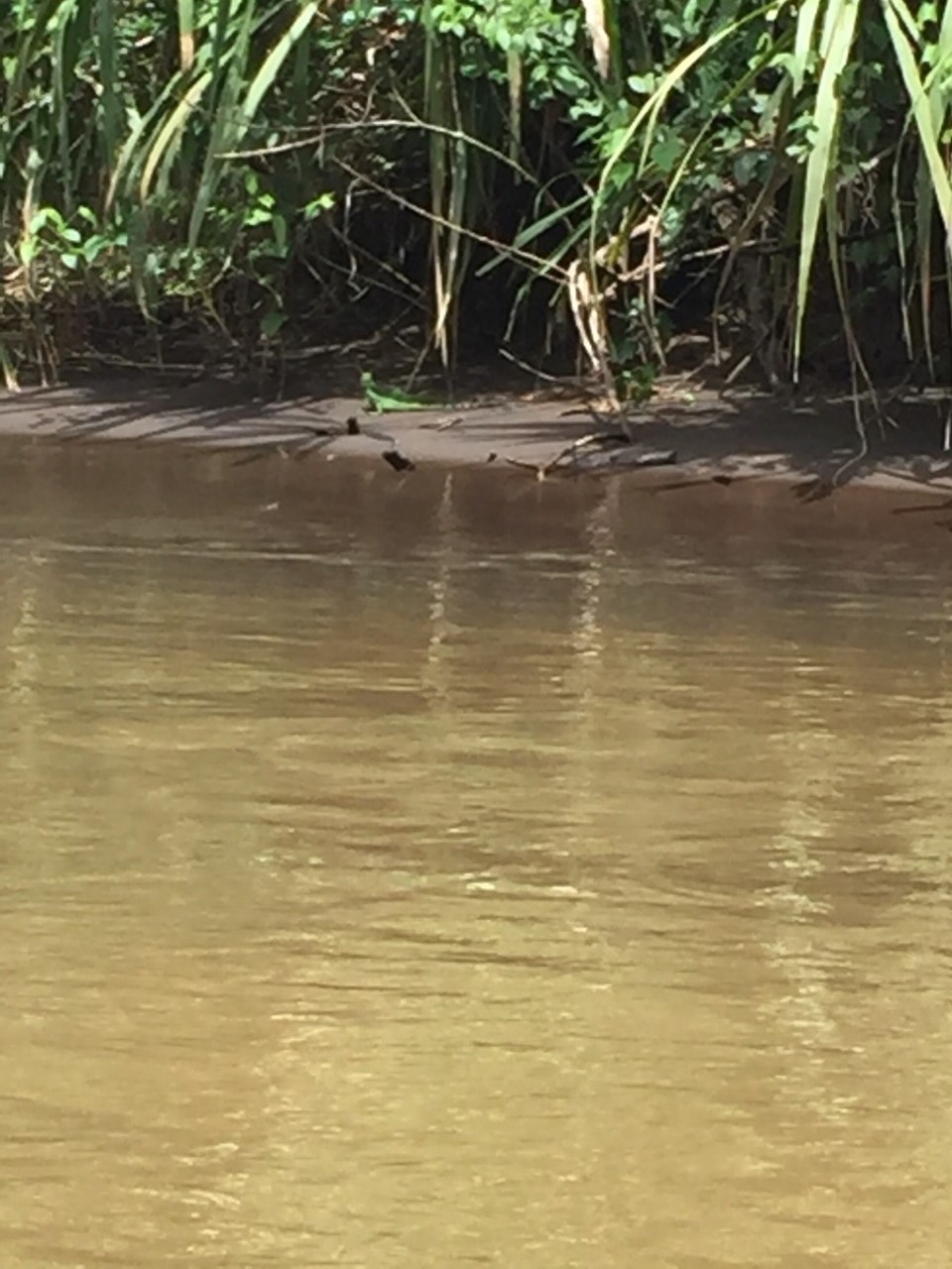 Costa Rica - Pococí - 