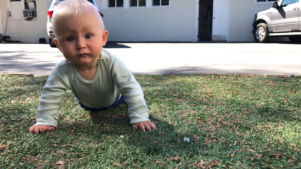 Vereinigte Staaten - Los Angeles - Habe eine Feder gefunden und musste gleich an meine Freundin Lina denken, die hat nämlich Hühner!
