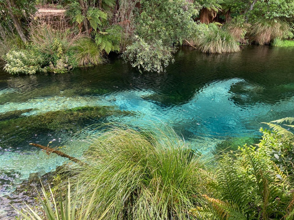 Neuseeland - Hamurana - Ist die Farbe nicht mal wieder zum staunen 🤩