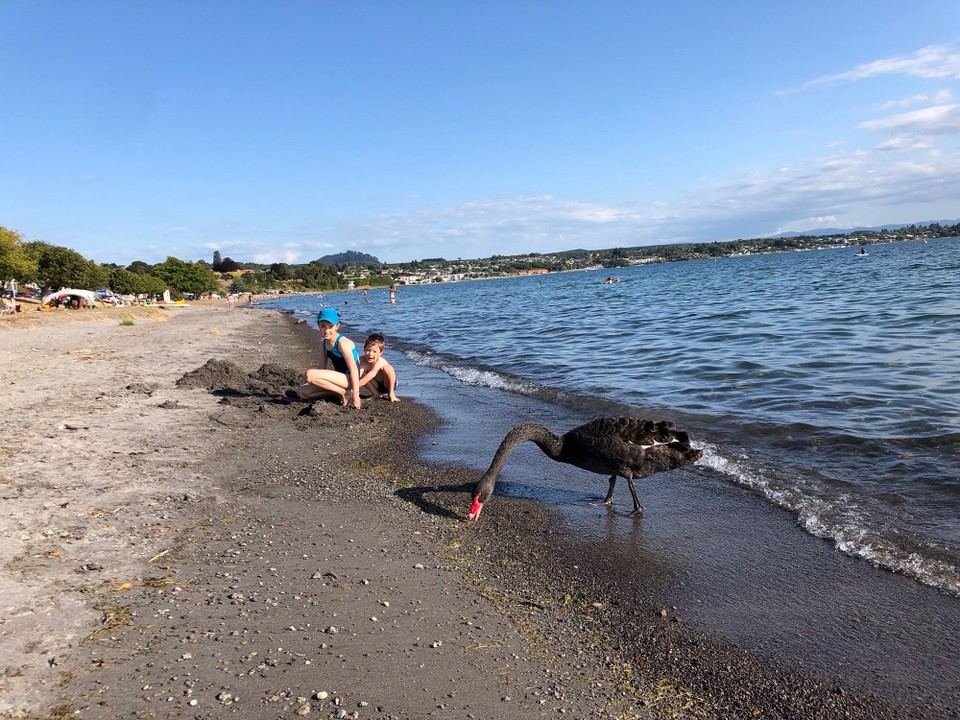 Neuseeland - Taupo - Der Lake Taupō ist vor 26000 Jahren durch einen riesigen Vulkanausbruch entstanden. Er ist an der tiefsten Stelle 186 Meter tief. Wir haben die Entstehung in einem Film im Te Papa Museum in Wellington gesehen und staunen jetzt umso mehr über diesen See.