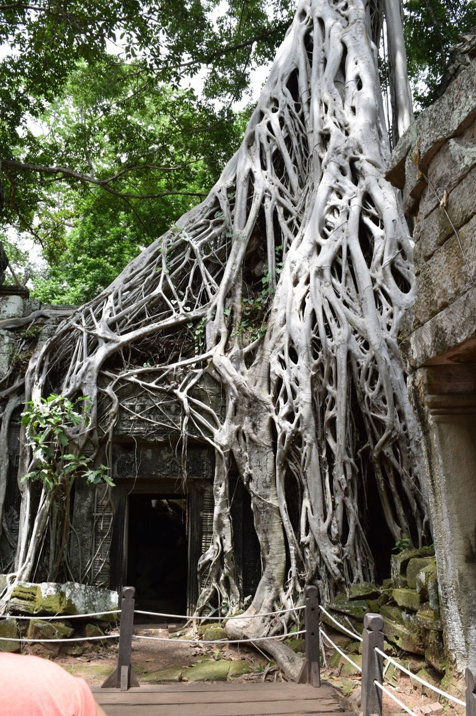Cambodia -  - 