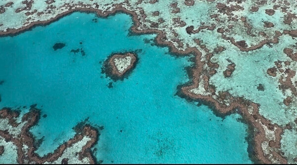 Australien - Cape Conway - The Heart of the Great Barrier Reef