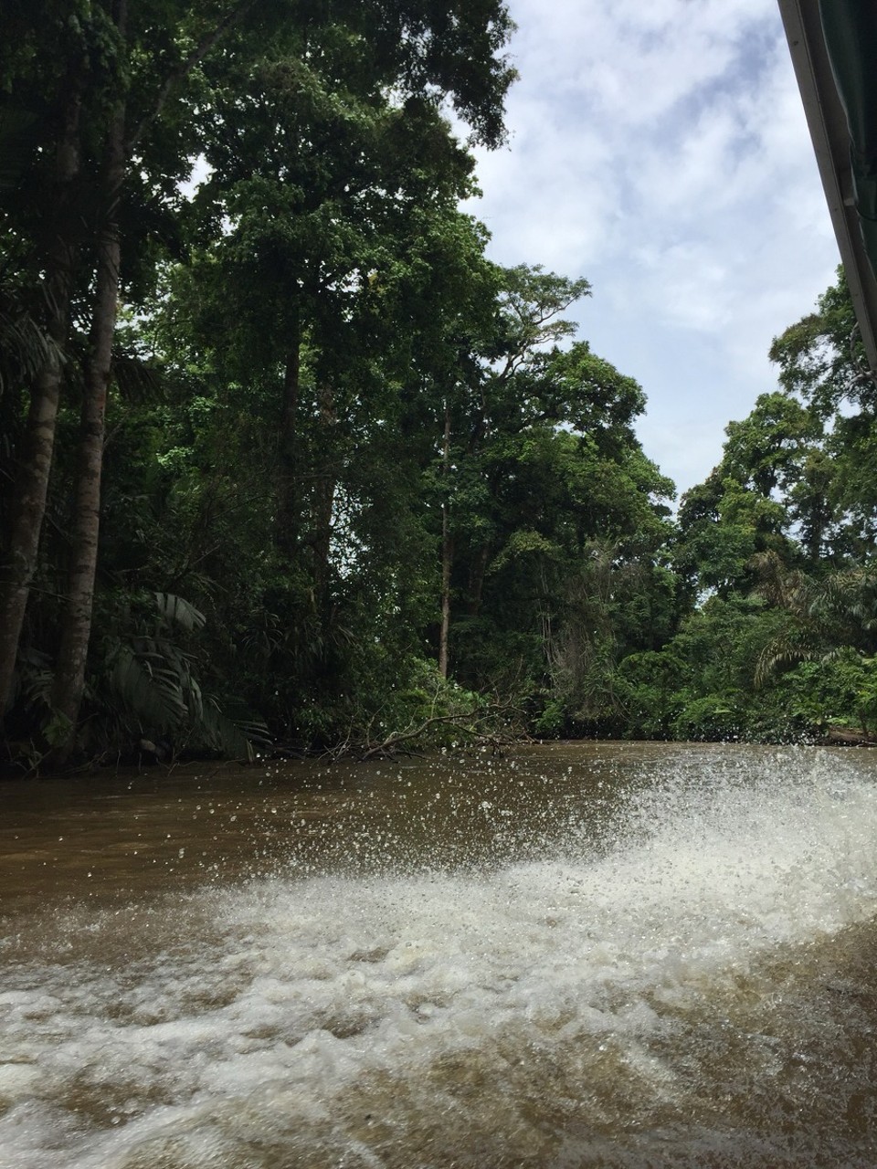 Costa Rica - Pococí - 