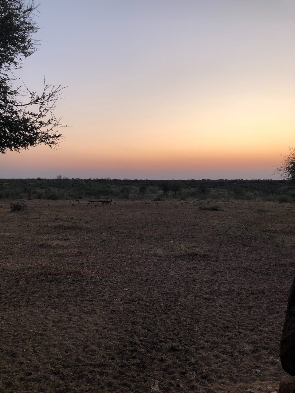 Namibia - Windhuk - 