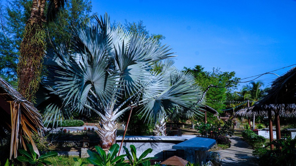 Thailand - Khao Lak - 