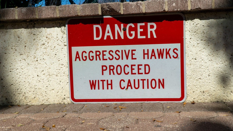 USA - Daytona Beach - Hier wird vor aggressiven Falken gewarnt.