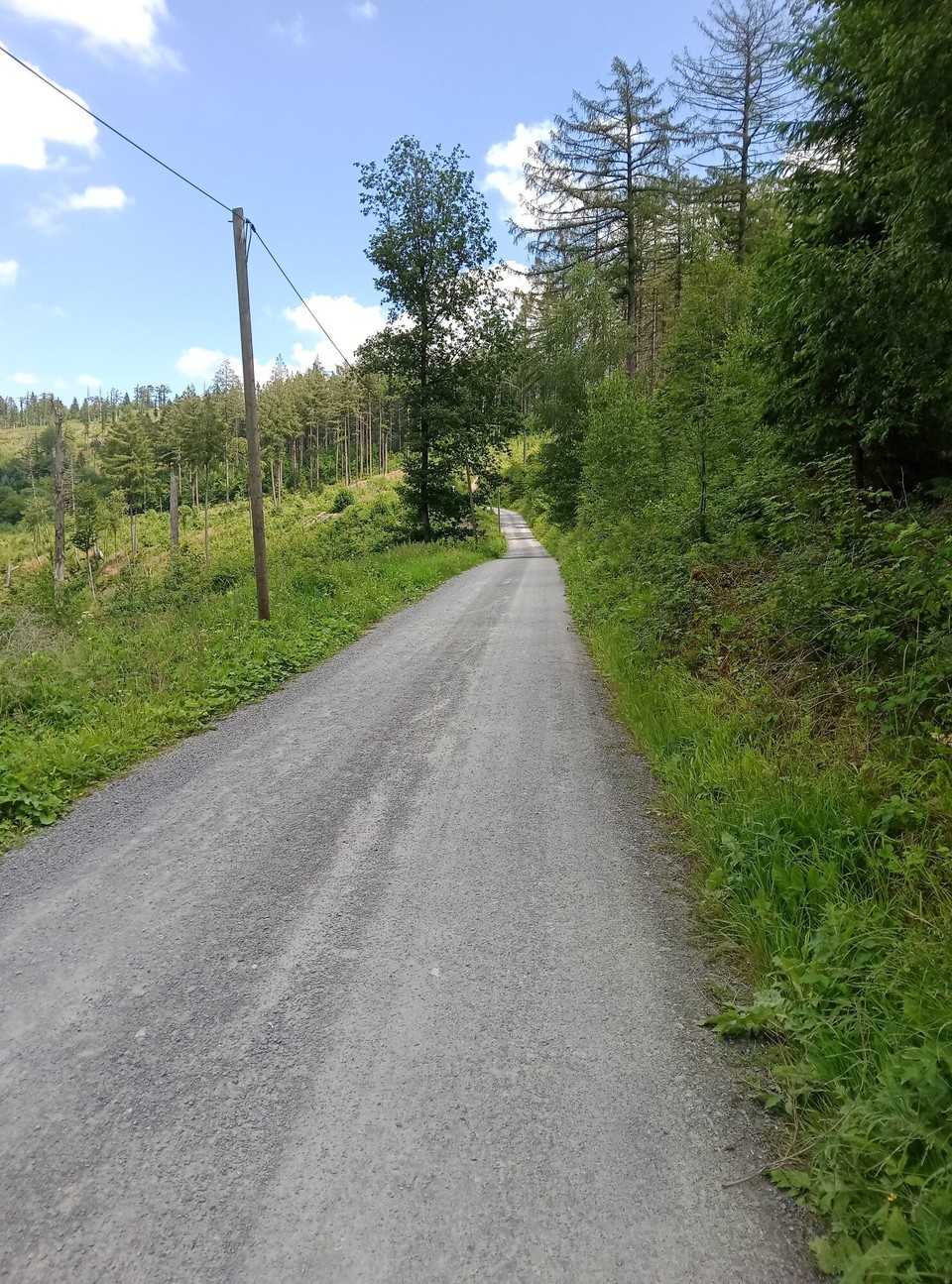 Deutschland - Horn-Bad Meinberg - 