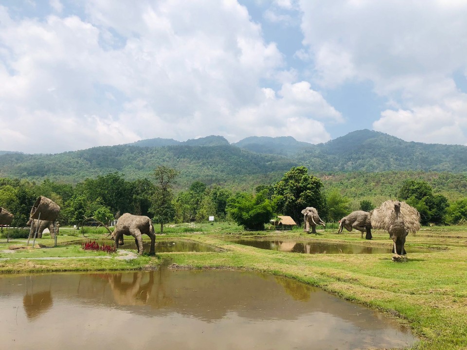 Thailand - Mae Rim - Skulpture Park 🐘