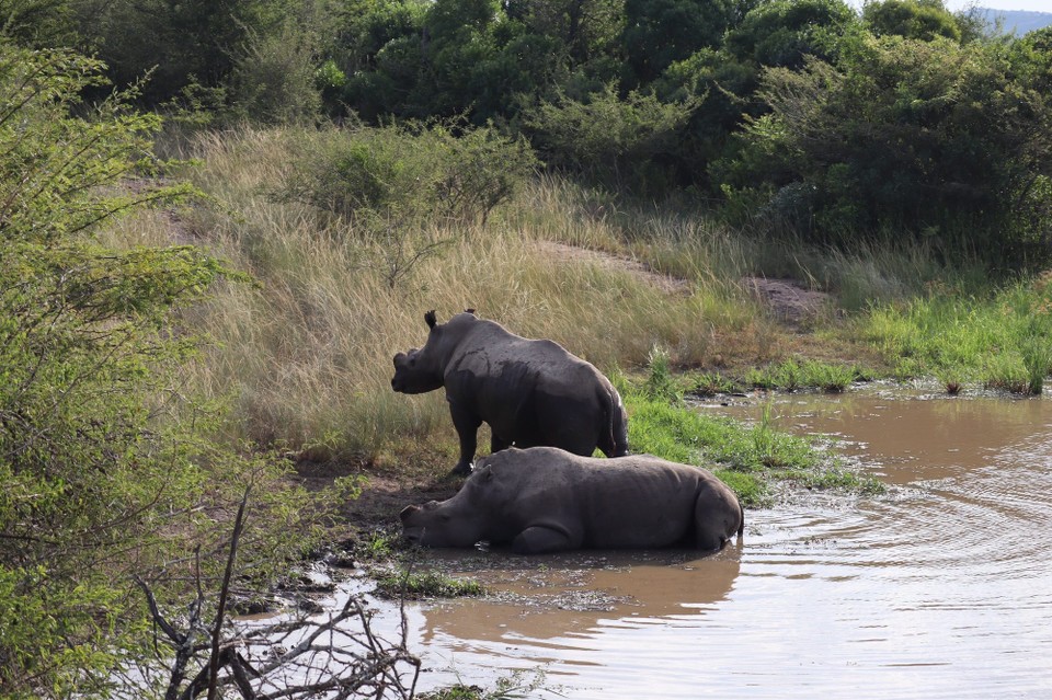 Südafrika - Richards Bay - 
