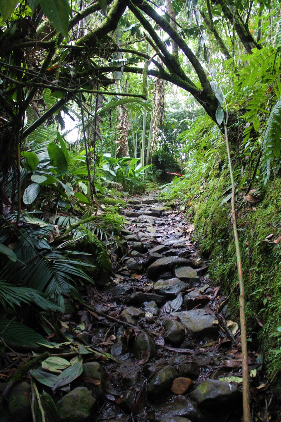 Colombia - Jardín - EIn Teil des alten Camino Real