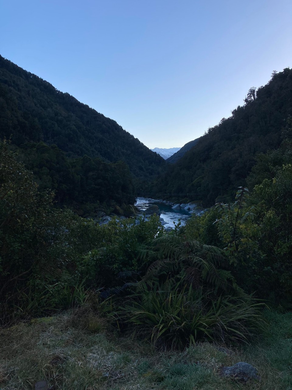 Neuseeland - Whataroa - Guten Morgen 😃